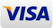 visa icon