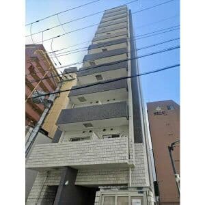 Main interior of Leon Comfort Kitahama