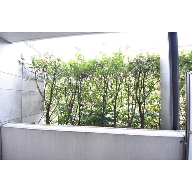 Room image 15
