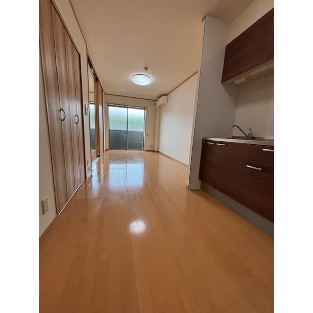 Preview interior of Ampeulfer tree