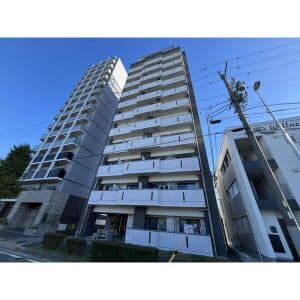 Room Image 2181281