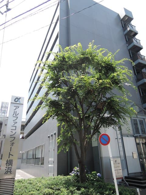 Room Image 2100411