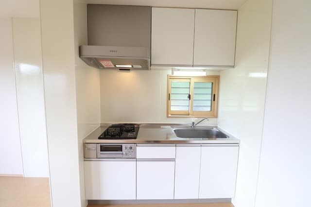 Preview interior of Flora ✨[RT]