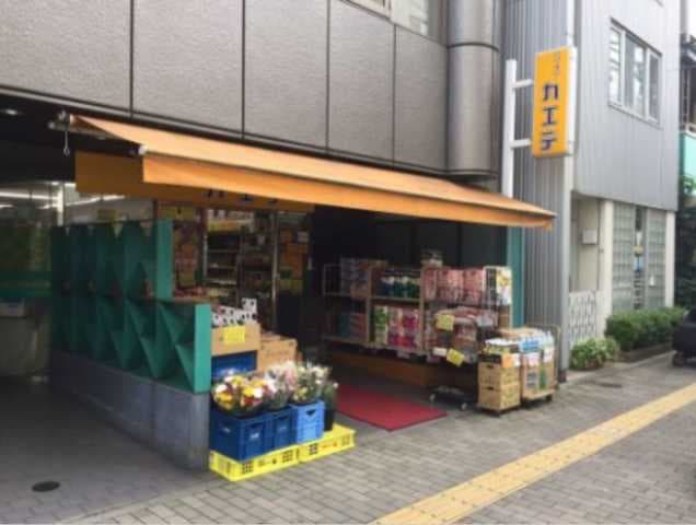 Room image 16
