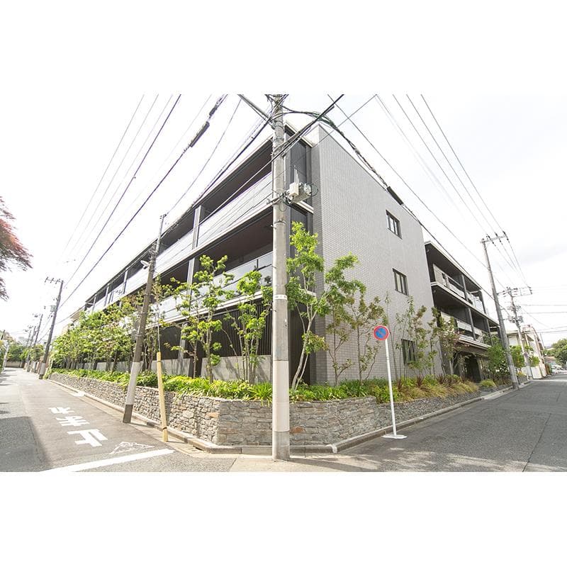 Room Image 11098170
