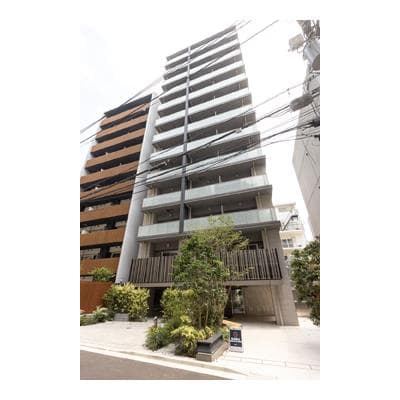 Room Image 11098275