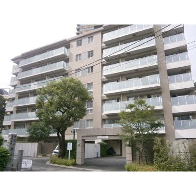 Room Image 11098730