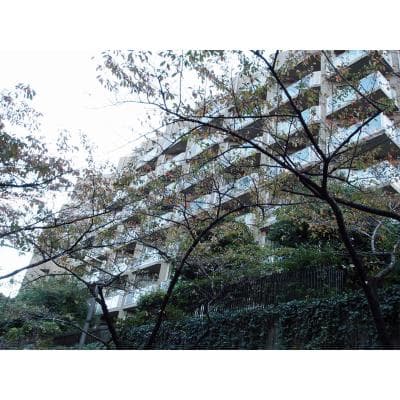 Room Image 11098634