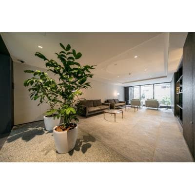 Room image 9