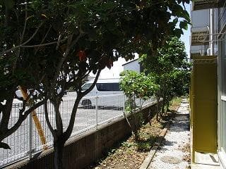 Room image 15