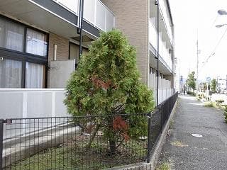 Room image 16