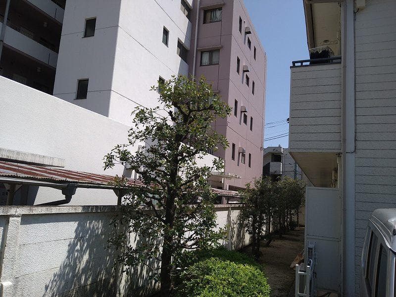 Room image 11