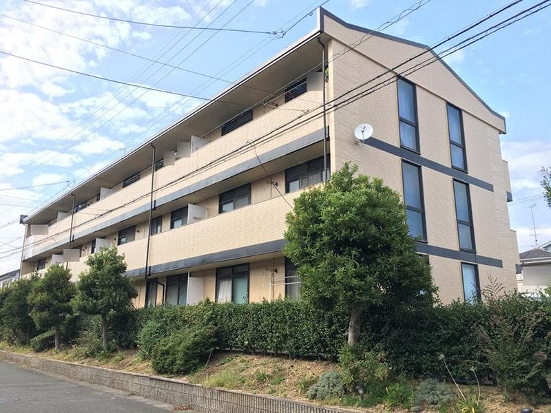 Room Image 1037831