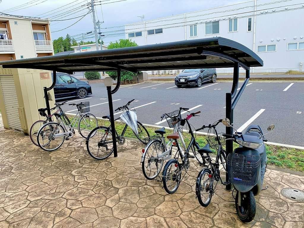 Preview interior of LEONEXT Umeno Ki