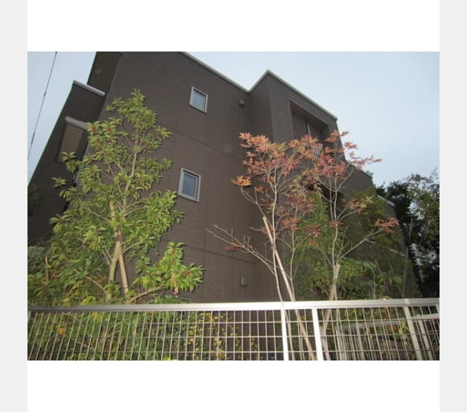 Room Image 12021908