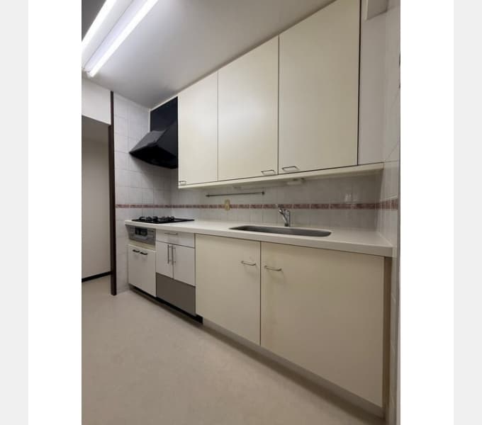 Preview interior of Rene Koiwa