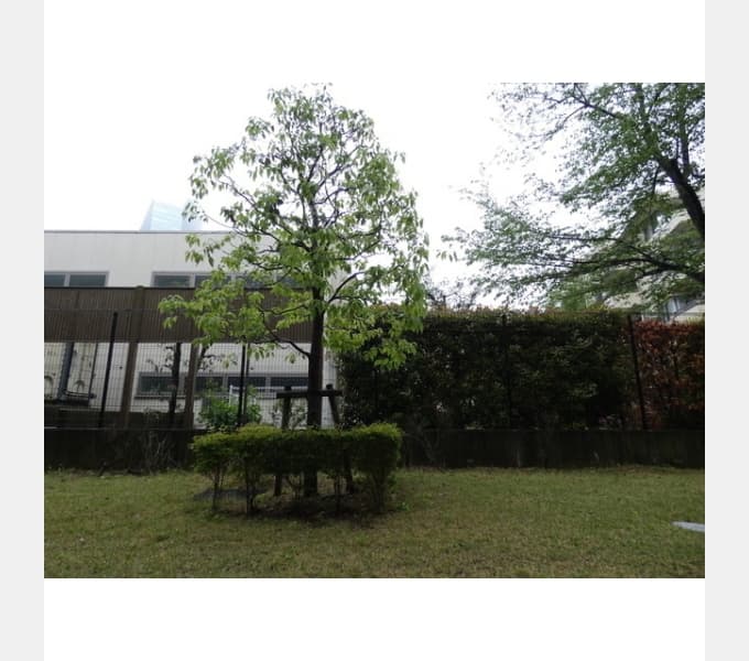 Room image 15
