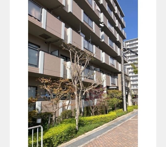 Main exterior of Rex Itami