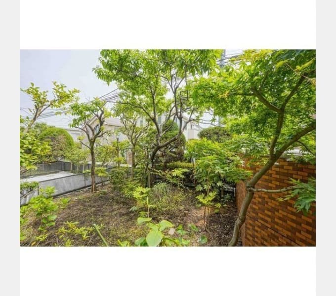Room image 15