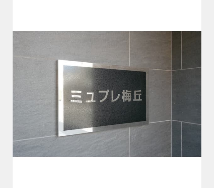 Room Image 12020991