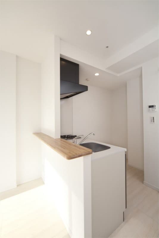Preview interior of Residia Kudanshita II