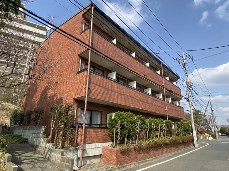 Room Image 16009882