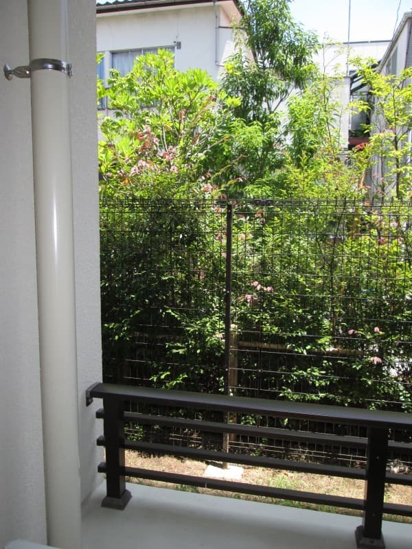 Room image 12
