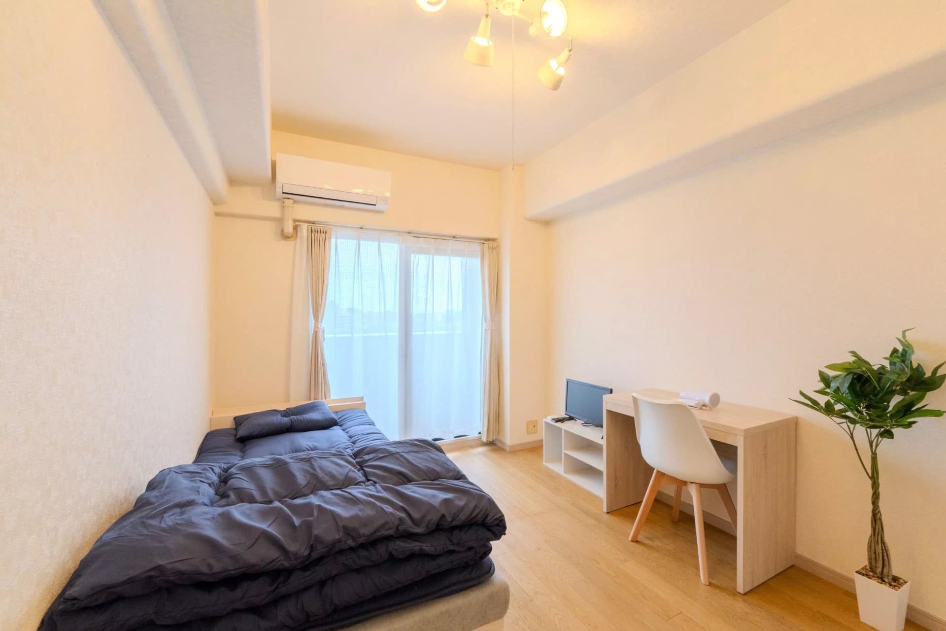 Room Image 17000940