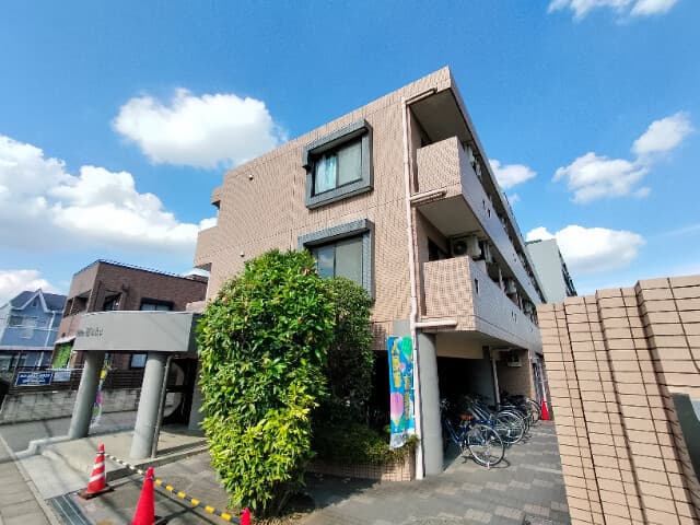 Main Image
