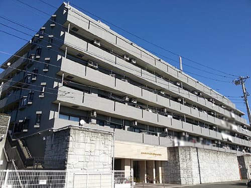 Main Image