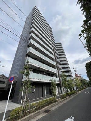 Main Image