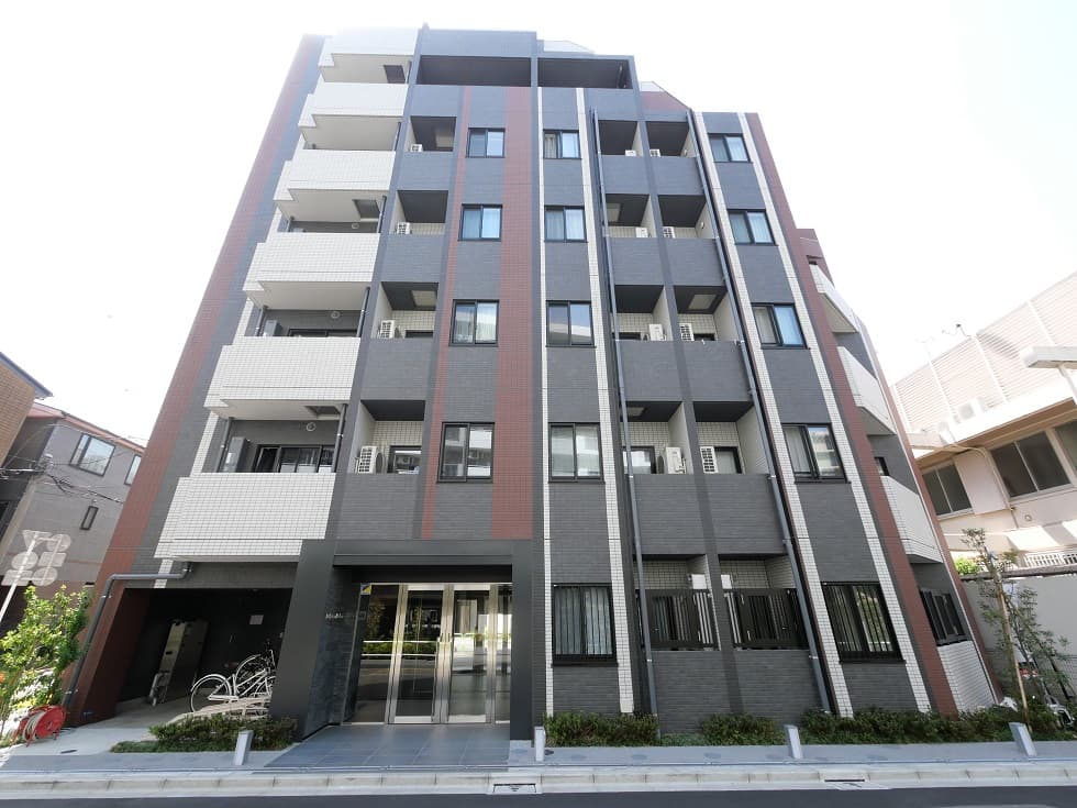 Main Image