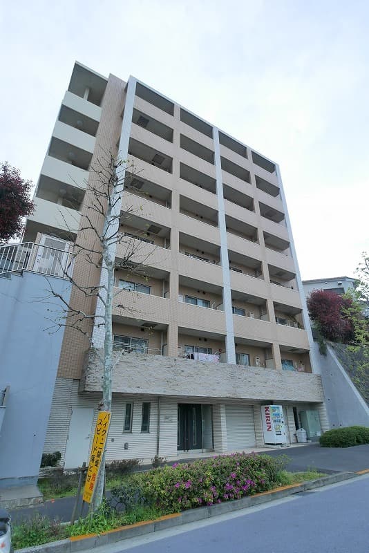 Main Image