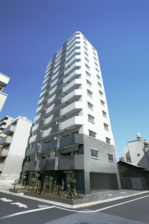 Main Image