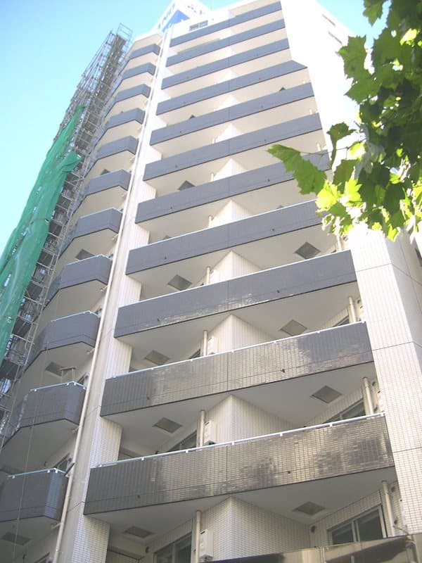 Main Image