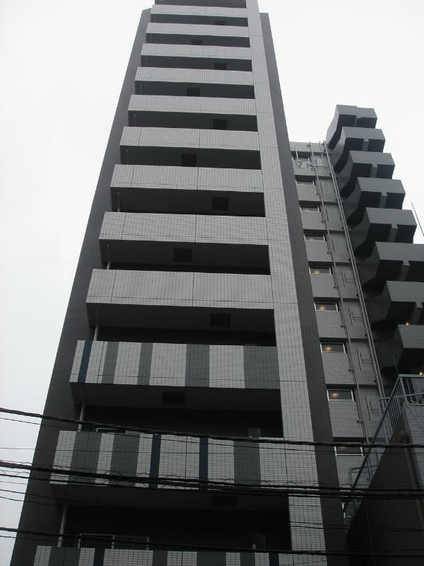 Main Image