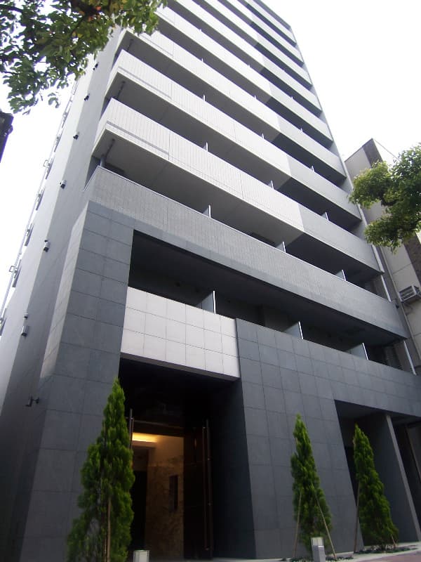 Main Image