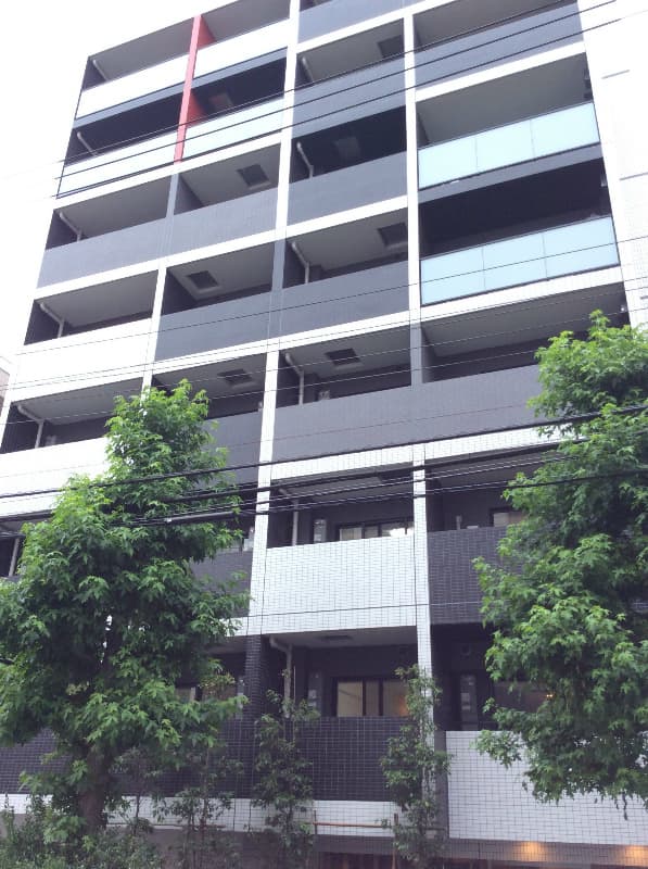 Main Image
