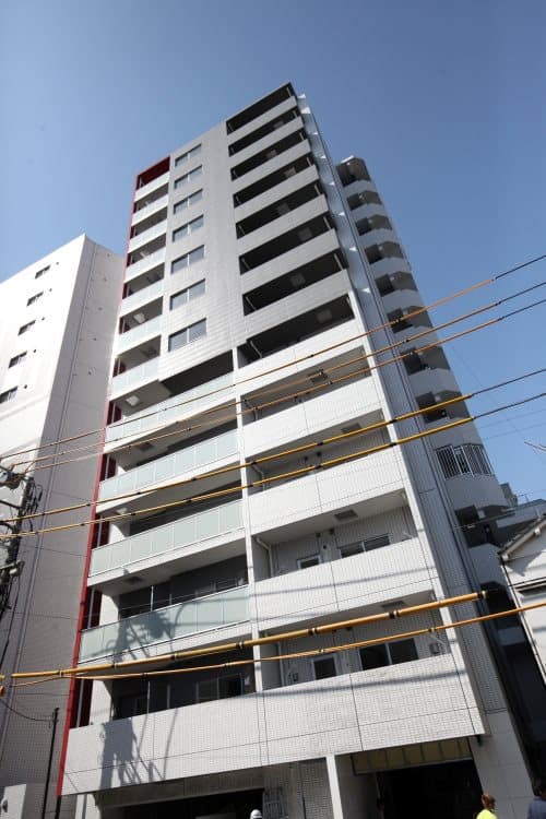 Main Image