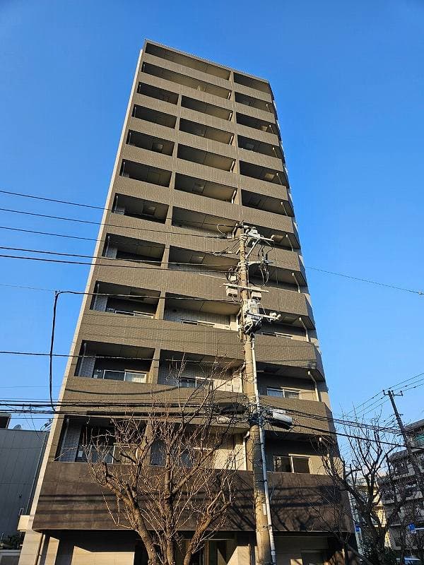 Main Image