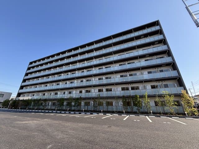 Main Image