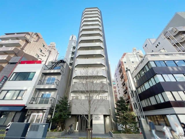Main Image