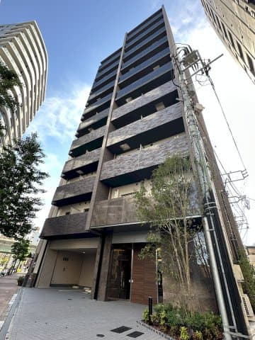 Main Image