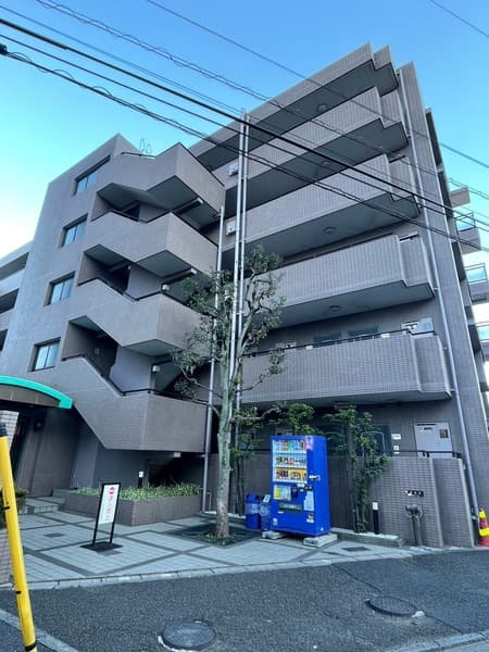 Main Image