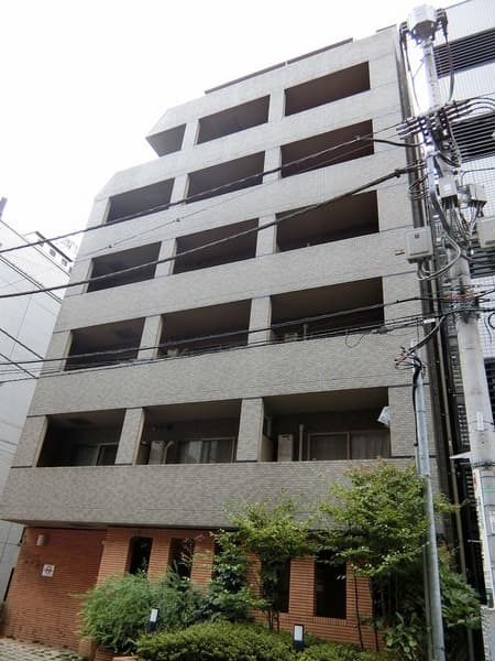 Main Image