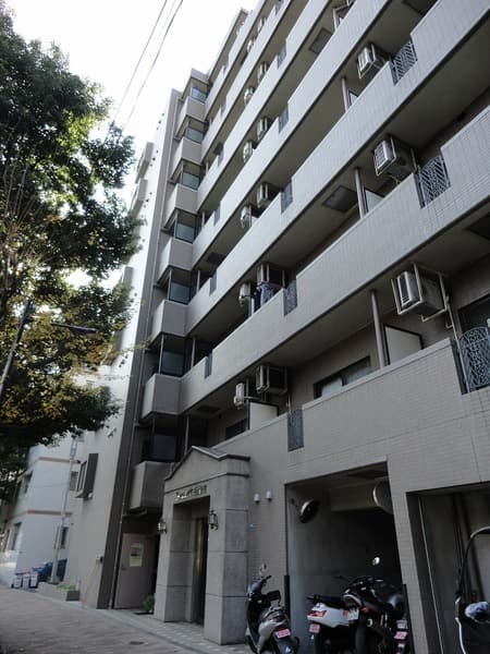 Main Image