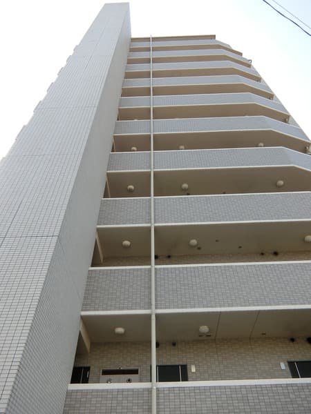 Main Image