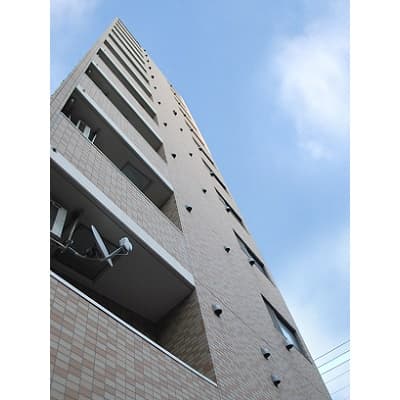Main Image