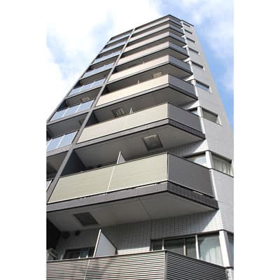 Main Image