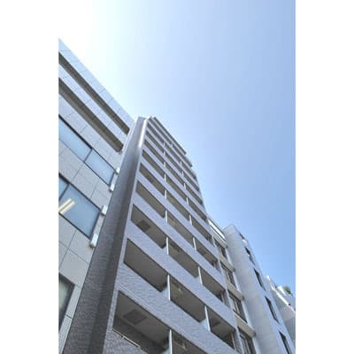 Main Image